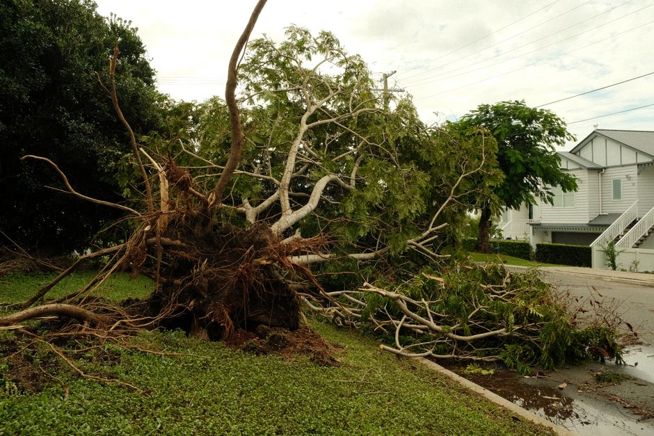 Emergency removal of a storm-damaged tree from a residential property